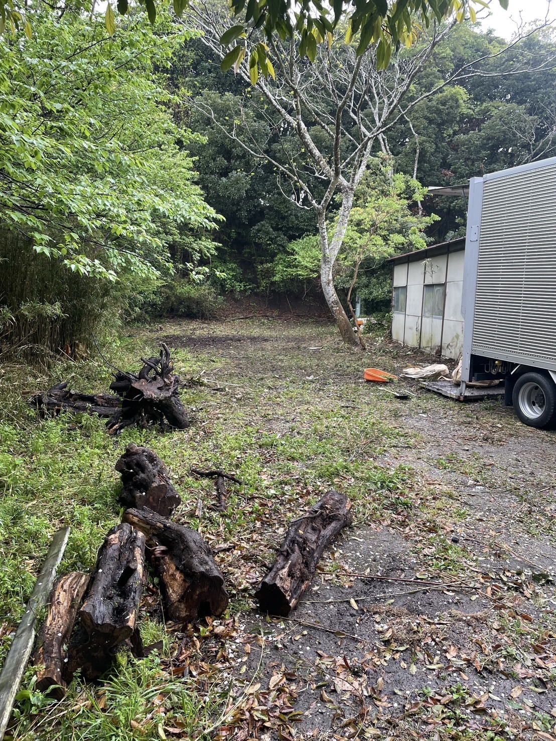 八王子市の空き家プレハブ小屋の残置物撤去と伐採及び解体作業